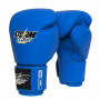StormCloud Перчатки для Muay Thai Blizzard Classic Синие