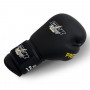 StormCloud Перчатки Боксерские Boxing Pro Черные