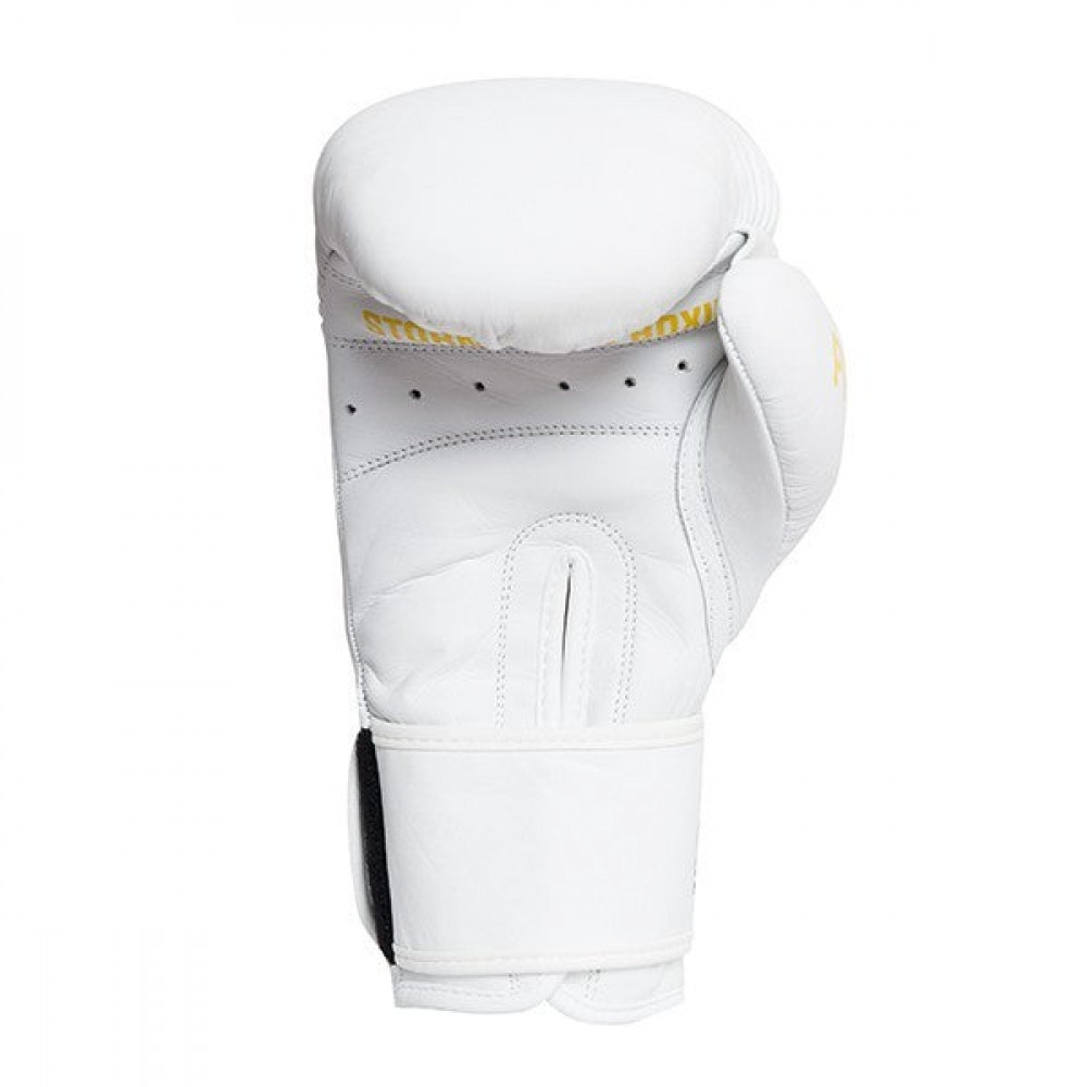 StormCloud Перчатки Боксерские Boxing Pro Белые