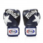 Перчатки Боксерские Fairtex BGV1 Nation синие