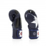 Перчатки Боксерские Fairtex BGV1 Nation синие