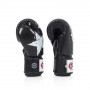 Перчатки Боксерские Fairtex BGV1 Nation черные