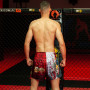 Шорты для Muay Thai Extreme Hobby Killer Cards II