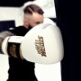 Боксерские перчатки StormCloud Boxing Pro Бело/Золотые