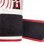 Боксерские перчатки Fairtex BGV14 Red Wave