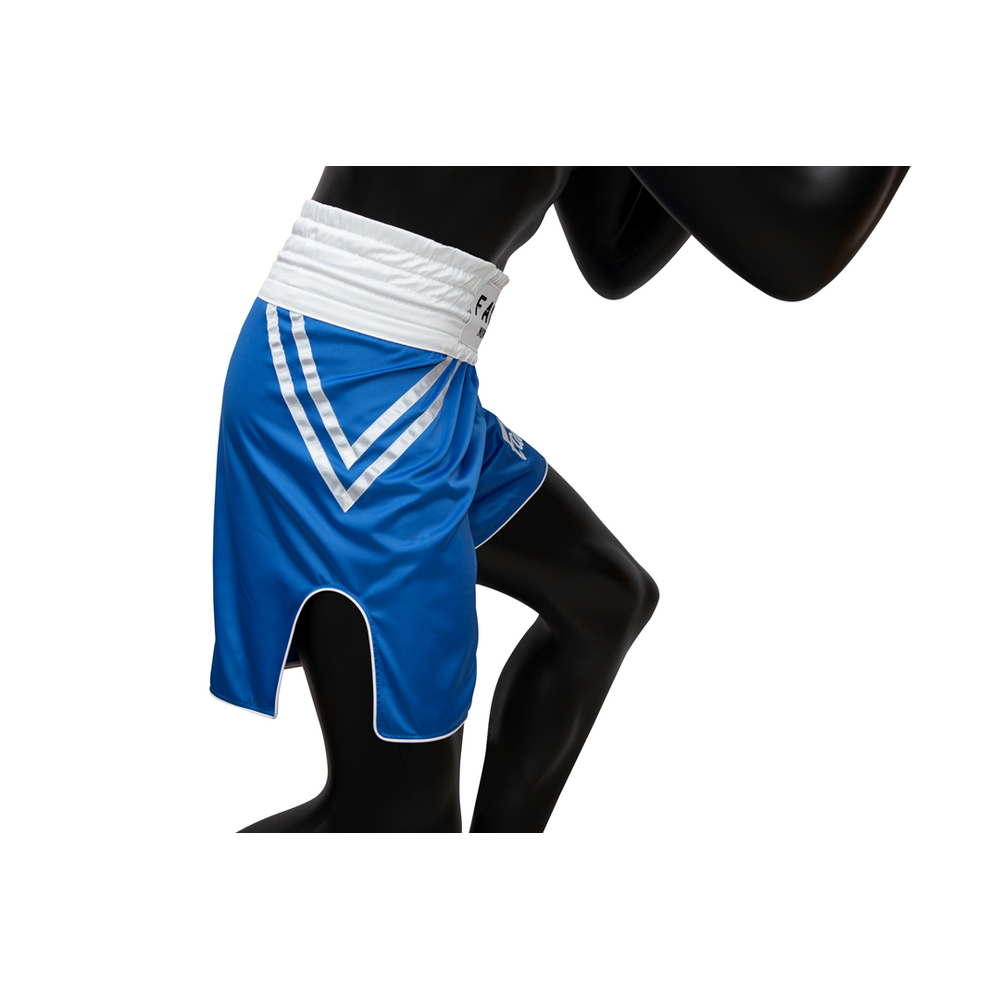 Боксерские шорты Fairtex BT2009