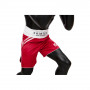 Боксерские шорты Fairtex BT2008