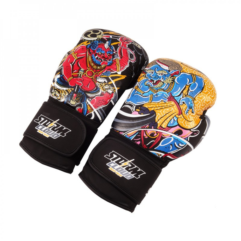 Боксерские перчатки StormCloud  Daisho FUJIN & RAIJIN