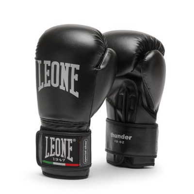 Боксерские перчатки Leone THUNDER