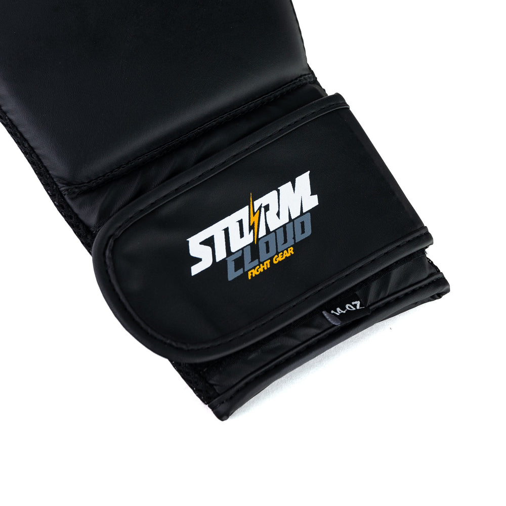 Перчатки боксерские StormCloud Rookie Черно-белые