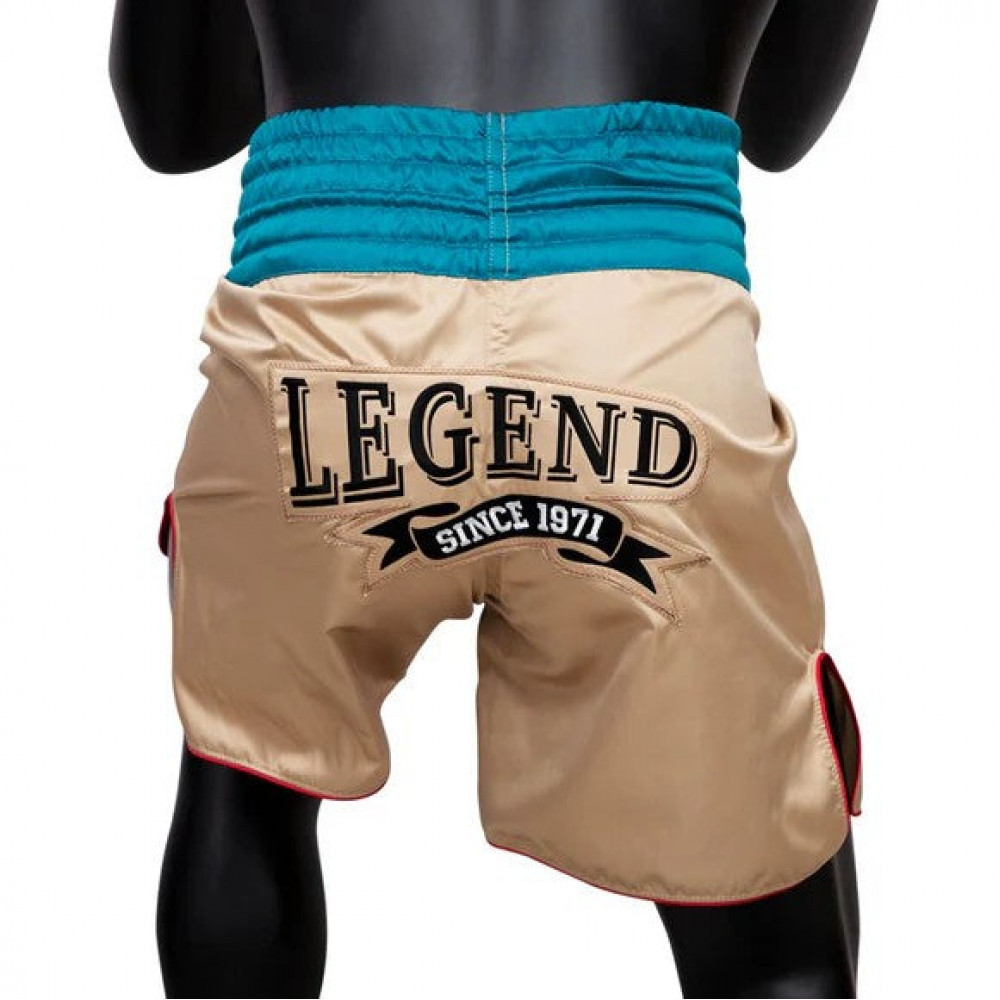 Шорты боксерские Fairtex BT2010 Бирюзовые