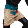 Шорты боксерские Fairtex BT2010 Бирюзовые