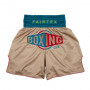 Шорты боксерские Fairtex BT2010 Бирюзовые