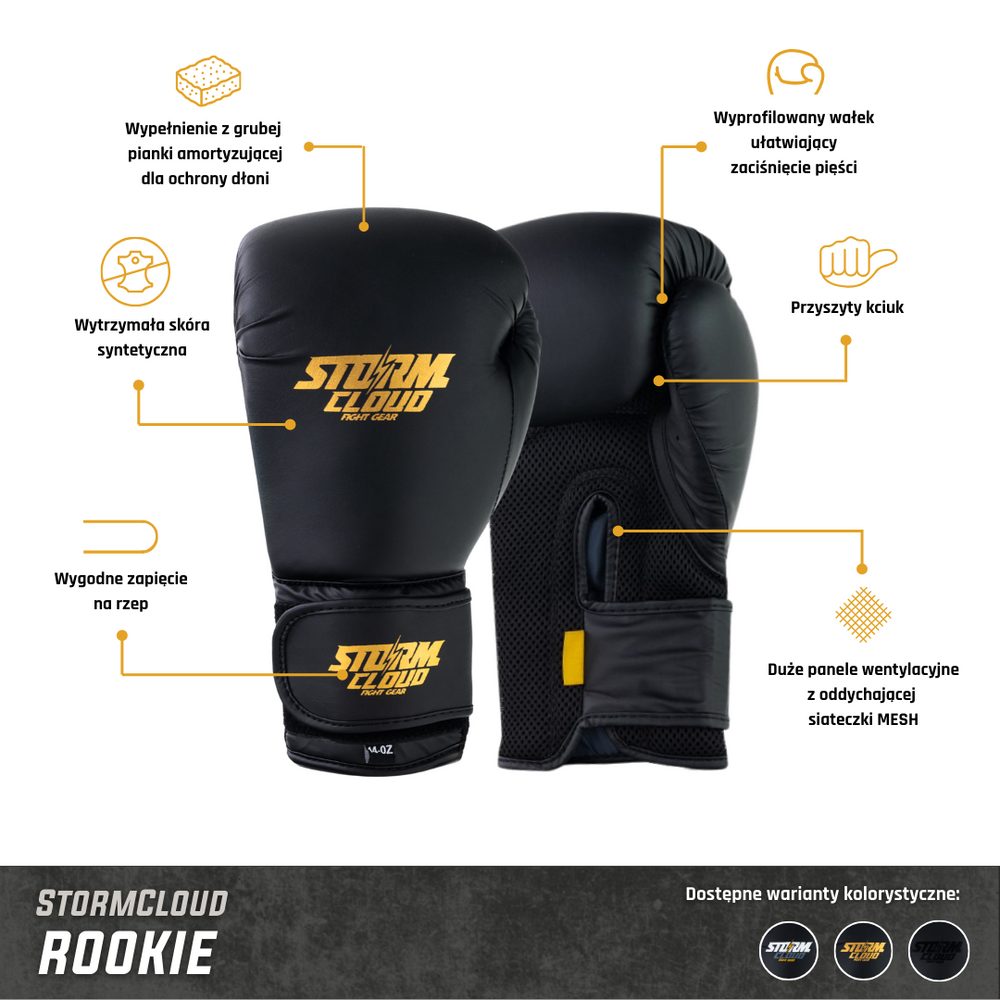 Перчатки боксерские StormCloud Rookie Черно-золотые