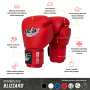 StormCloud Перчатки для Muay Thai Blizzard Classic