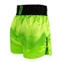 Шорты для Muay Thai Venum Classic Evo Зеленые