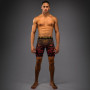 Шорты Venum Vale Tudo Quetzal Fury
