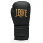 Боксерские перчатки Leone Black&Gold