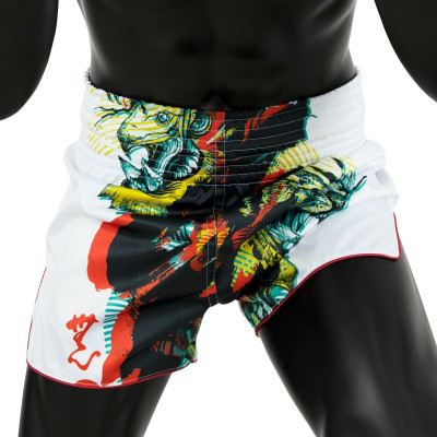 Шорты для Муай Тай Fairtex  BS1908 Satoru