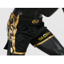 Шорты для Muay Thai Fairtex BSG1 Glory Черно-золотые