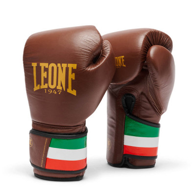 Боксерские перчатки Leone ITALY`47