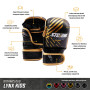 Перчатки для ММА StormCloud детские Lynx Aztech Special Edition
