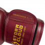 Боксерские перчатки StormCloud Vanguard Elite Thai Бордовые