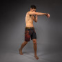 Шорты для MMA Venum Quetzal Fury 