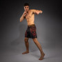 Шорты для MMA Venum Quetzal Fury 